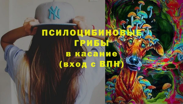 ПСИЛОЦИБИНОВЫЕ ГРИБЫ Верхнеуральск