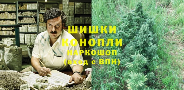 гидра Верхний Тагил