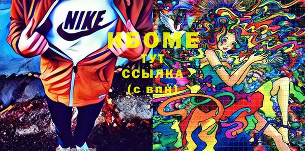 гидра Верхний Тагил