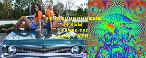 гидра Верхний Тагил