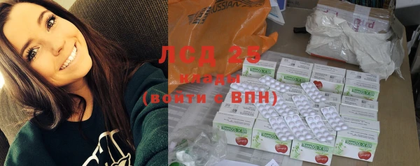 гидра Верхний Тагил