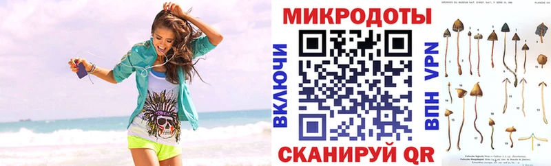 Купить закладки  Олонец  Псилоцибиновые грибы Psilocybine cubensis 