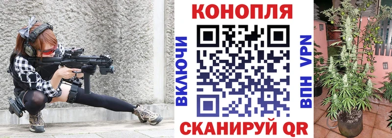 МАРИХУАНА гибрид  Купить закладки  Олонец 